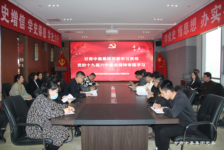 甘肅中集集團(tuán)黨委學(xué)習(xí)宣傳貫徹黨的十九屆六中全會(huì)精神